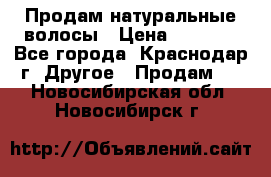 Продам натуральные волосы › Цена ­ 3 000 - Все города, Краснодар г. Другое » Продам   . Новосибирская обл.,Новосибирск г.